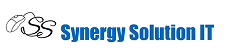 Synergy Solution IT